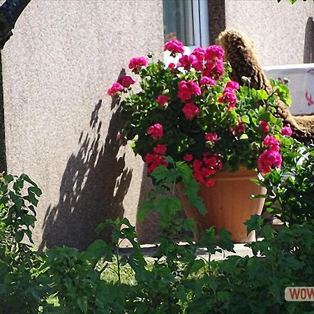Ferienwohnung Greim Sankt Peter am Kammersberg Exteriér fotografie